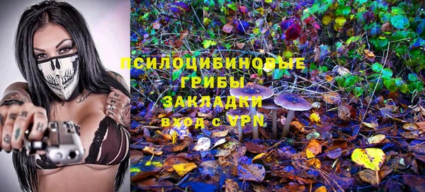 МДПВ Аркадак